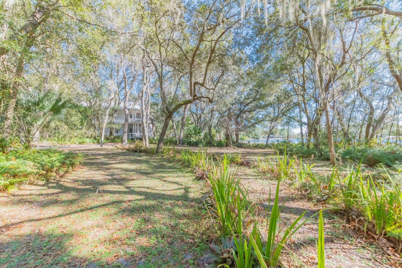 Fern Oak Estate: Waterfront near St Augustine FL