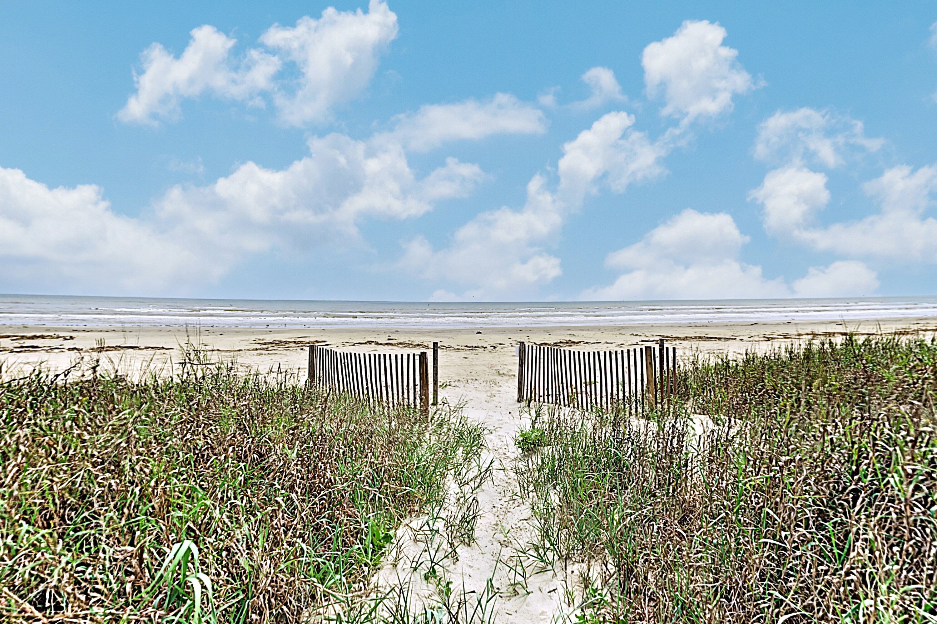 Property Image 2 - Coastal Winds: Beachfront Beauty - Steps to Sand