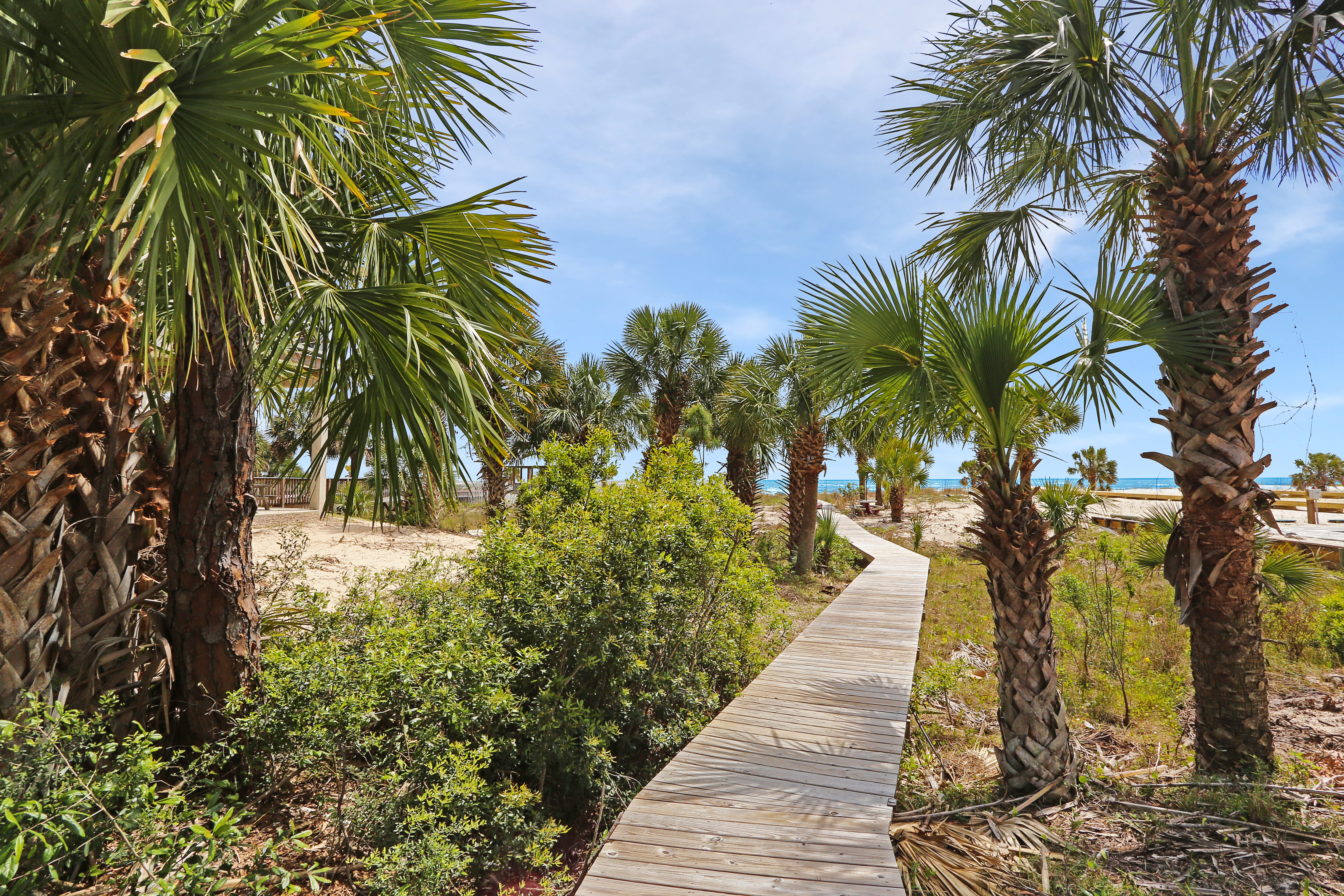 Property Image 1 - Secluded Palms
