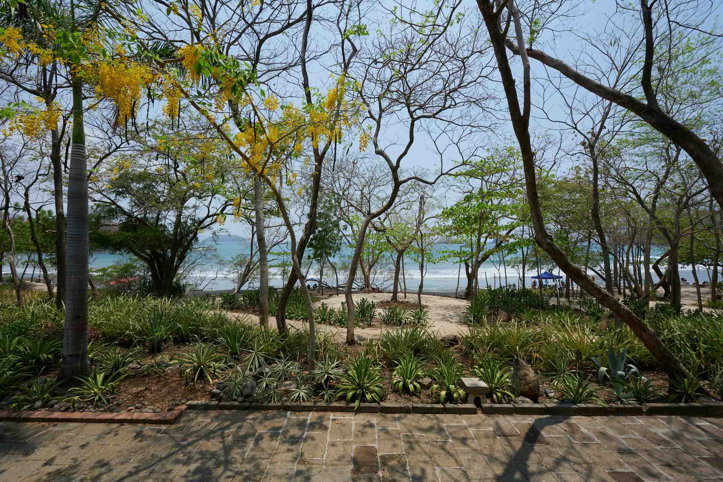 Property Image 2 - Picturesque Beachfront Home Surrounded by Nature