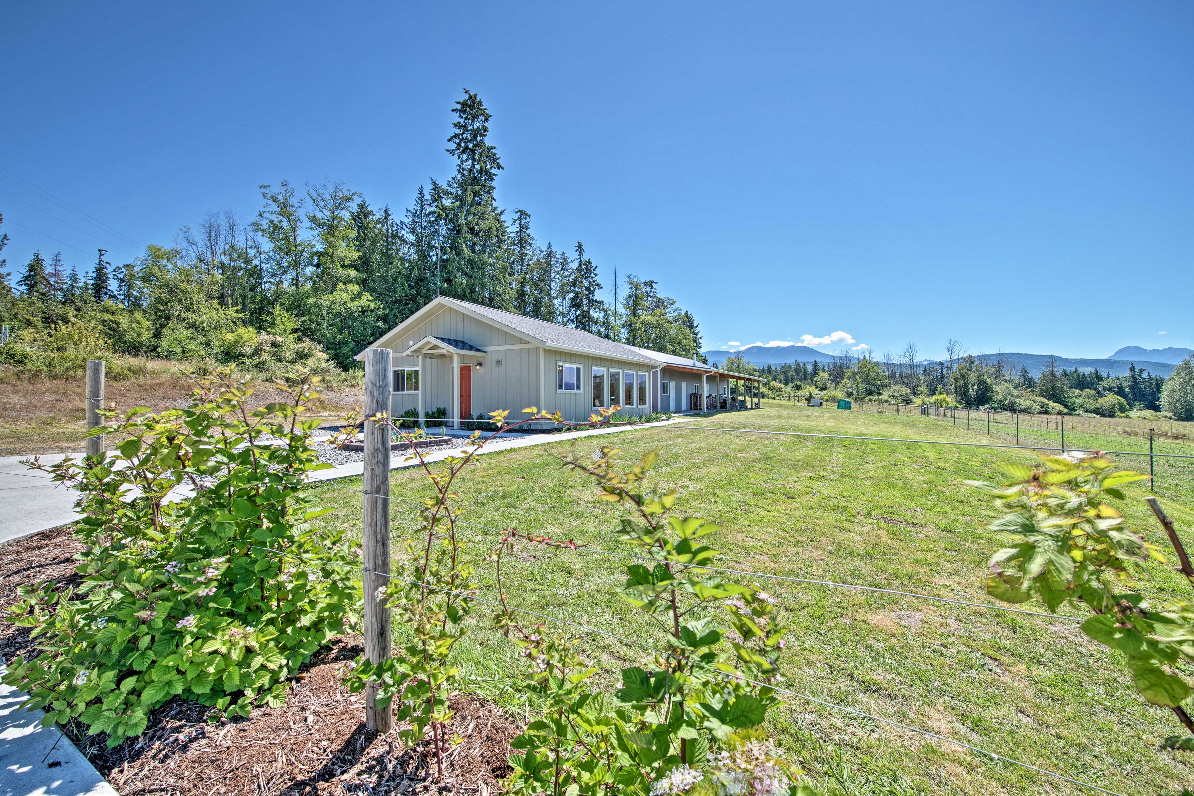 Property Image 2 - Sequim Cottage w/ Panoramic Olympic Mtn. Views!