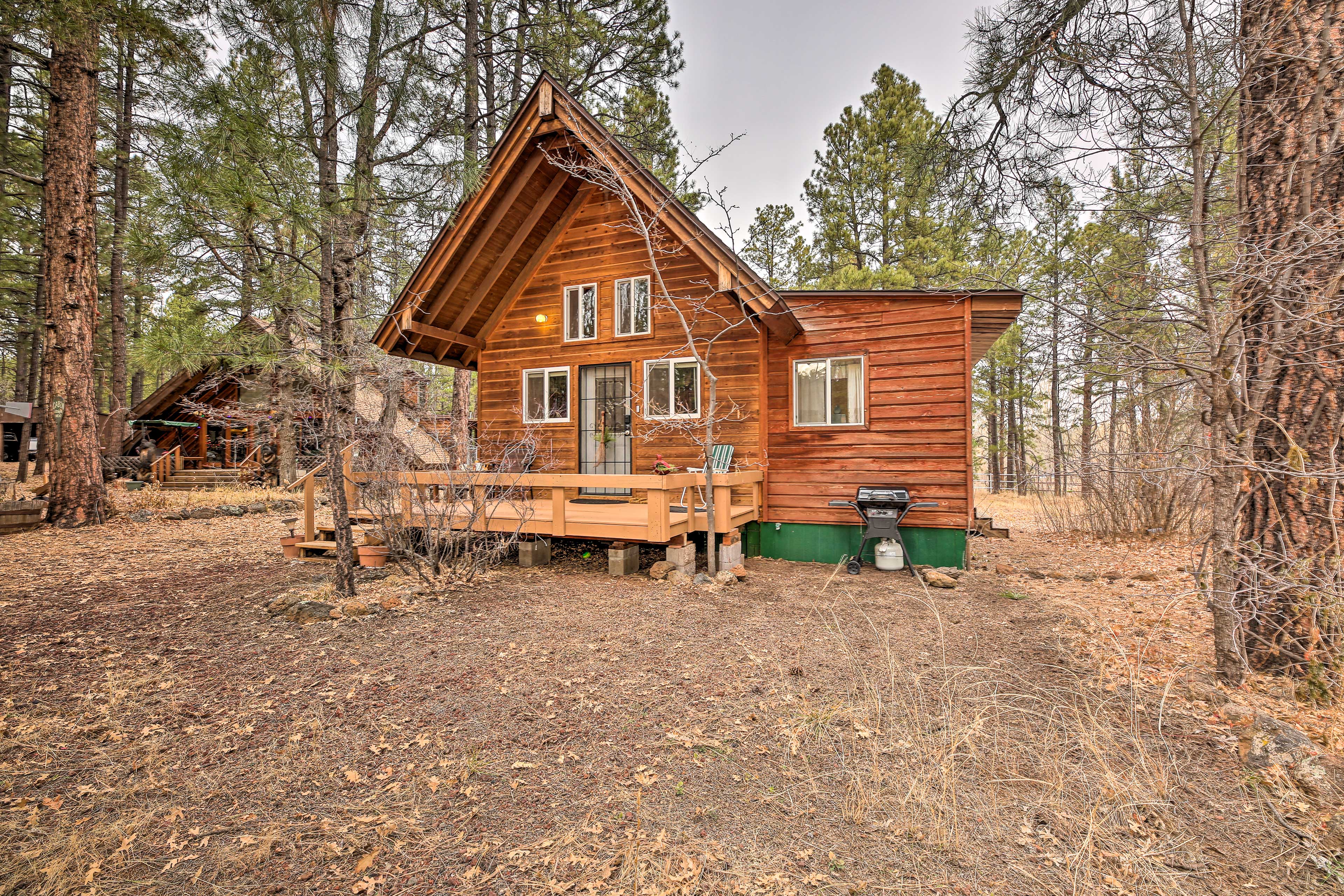 Property Image 1 - Cute Pinetop Cabin w/ Gas Grill - Hike & Golf!