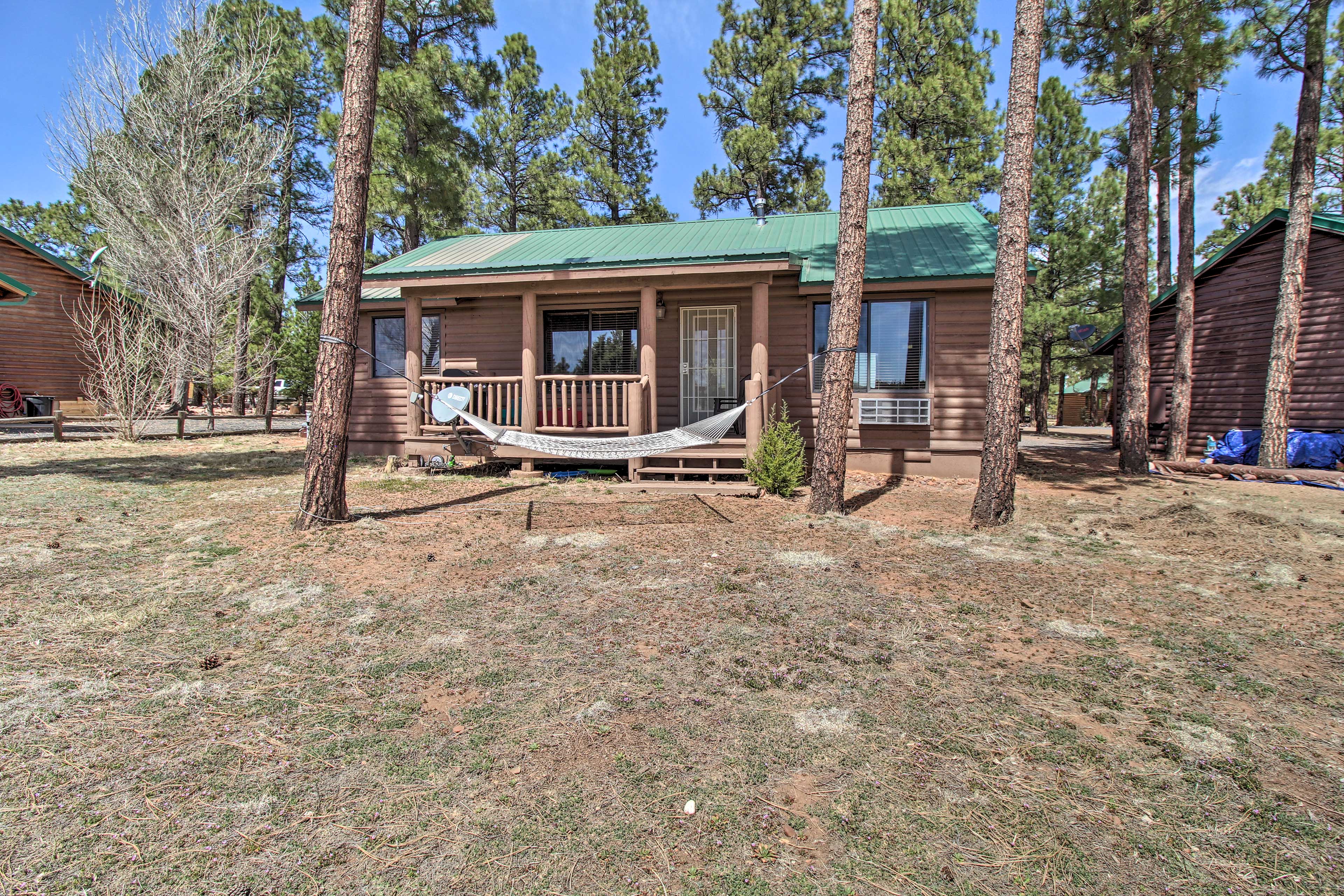 Property Image 2 - Cozy Overgaard Cabin Near National Forest!
