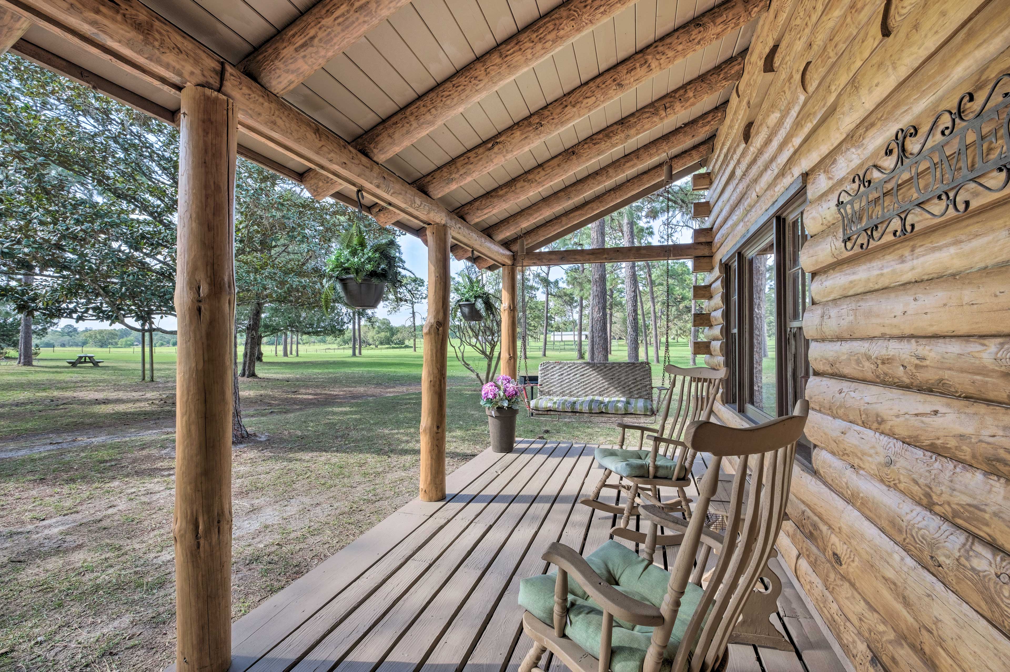Property Image 1 - Quaint & Quiet Belleview Cabin on 35 Acres!