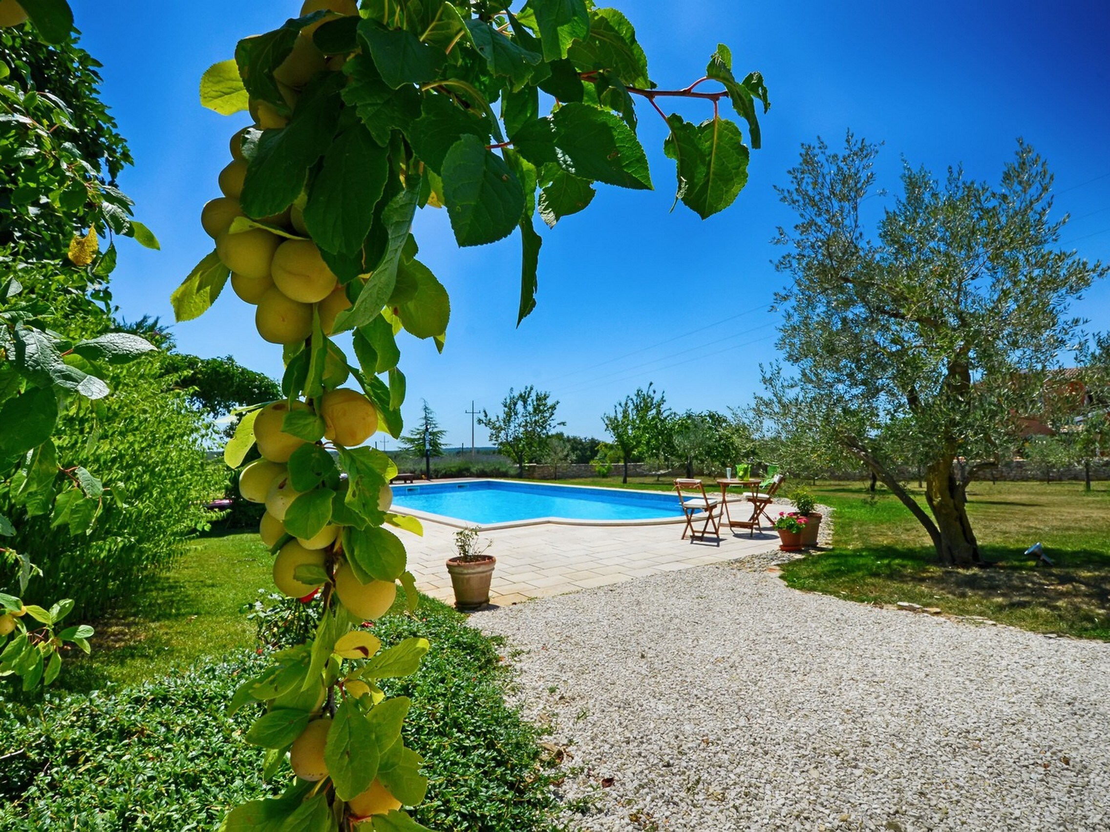 Property Image 1 - Villa Benka, magnificent villa in Istria
