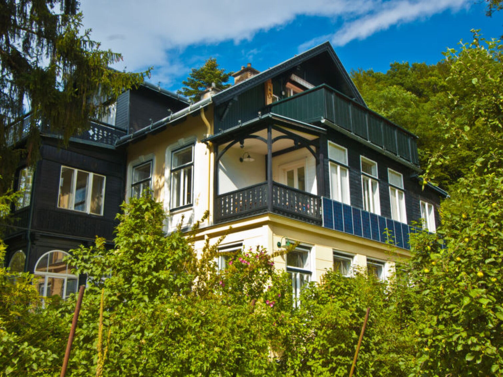 Property Image 2 - Property Manager Villa with First Class Amenities, Niederösterreich Villa 1001