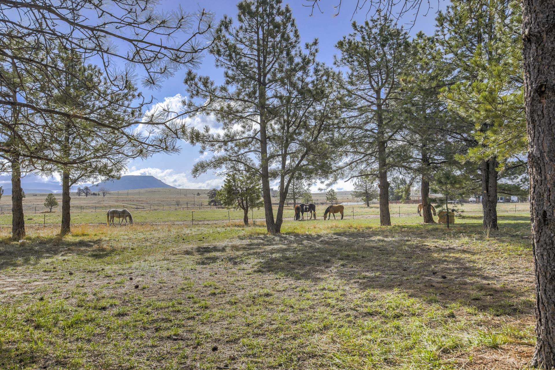 Property Image 2 - 3BD Barndominium | Ranch Experience | Foosball | Snow Shoes | Winter Trails