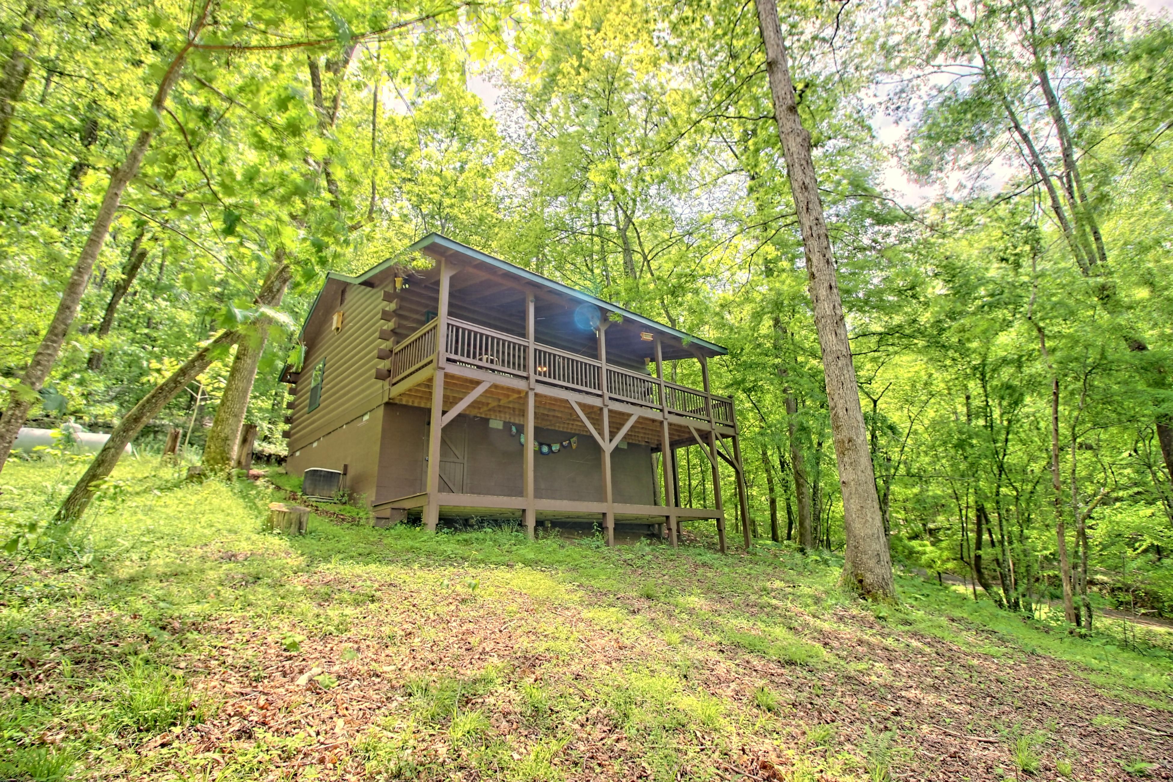 Property Image 1 - Cozy Tree Song Mountain Creek Cabin