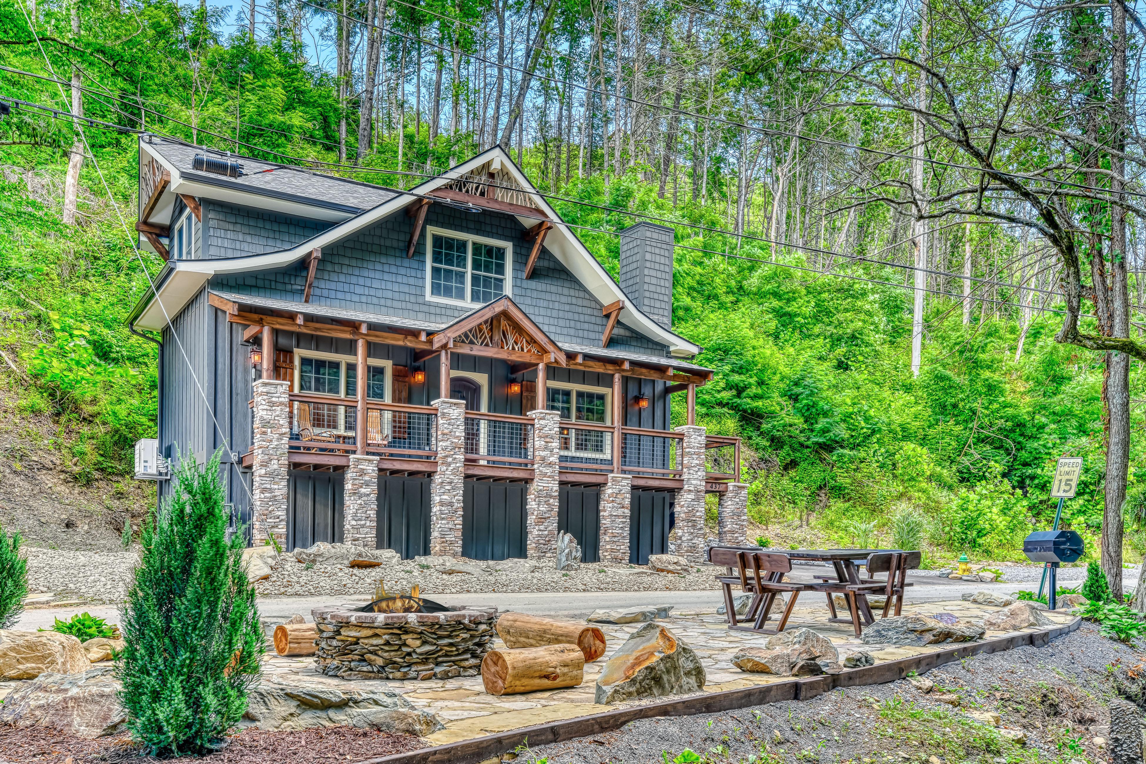 Property Image 1 - The Noir Pine Creekside Chalet, Near Downtown