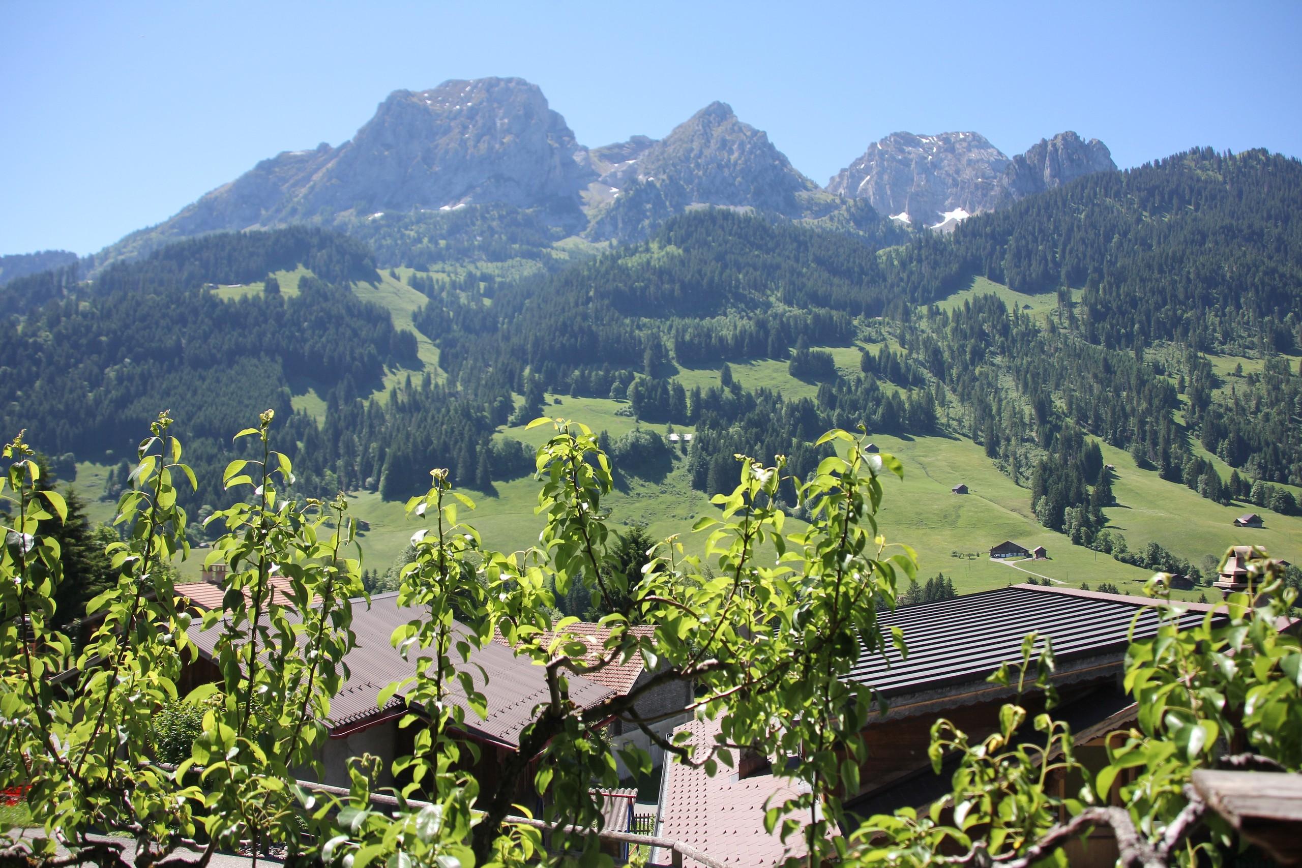 Property Image 1 - Tranquility Chalet with Great View across the Mountains