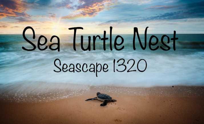Property Image 1 - Seascape 1320 - Sea Turtle Nest