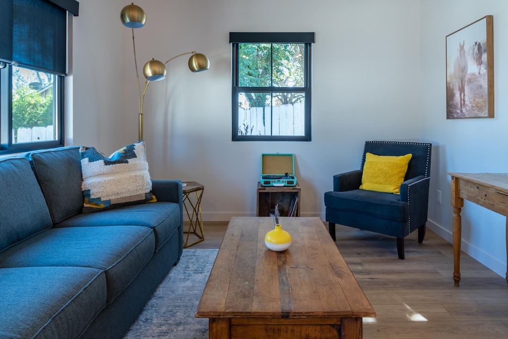 Bonus Pull Out Sofa in the Living Room