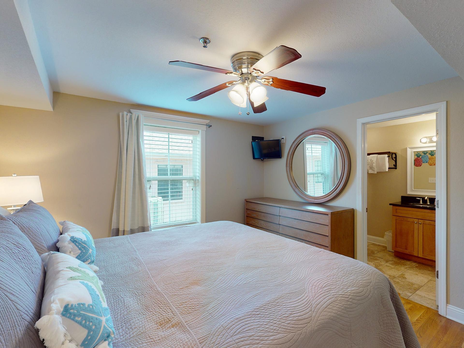 Lazi Seahorse Lazi Seahorse