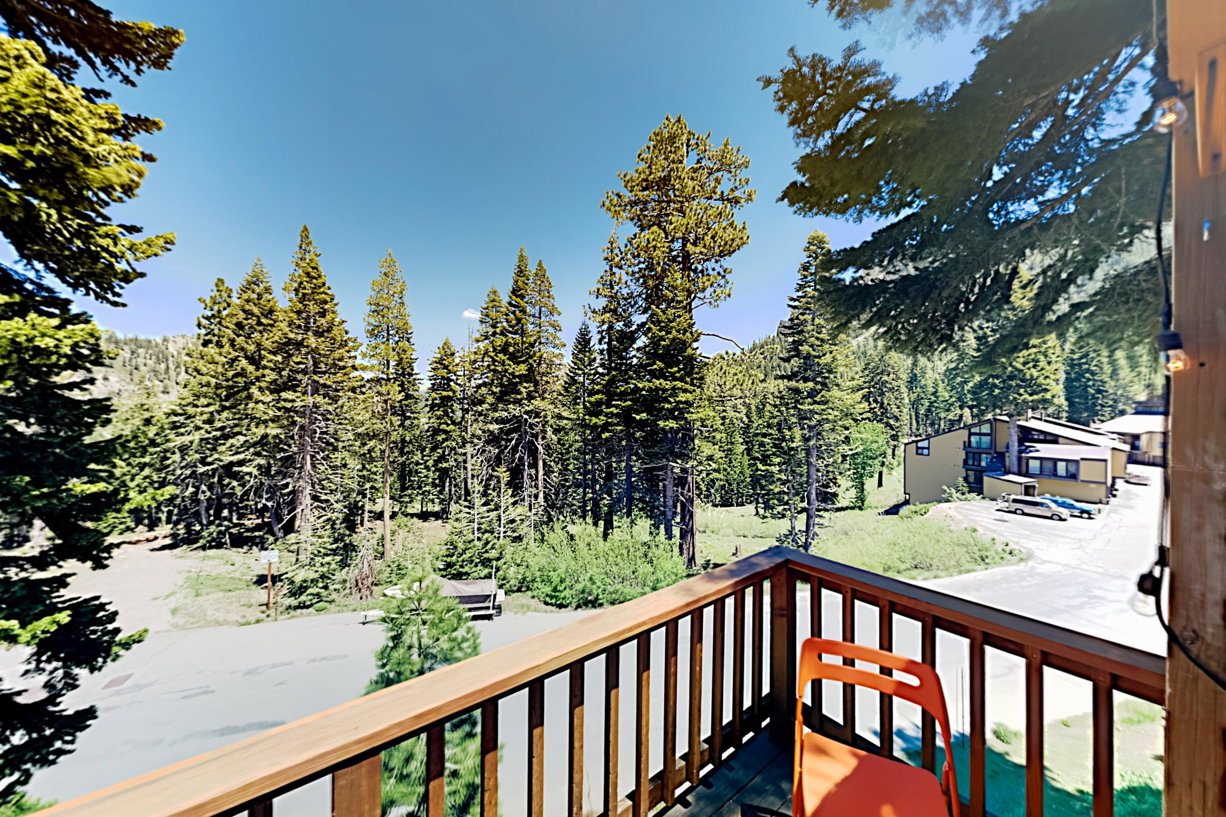 Property Image 2 - Scott Peak Lodges Condo