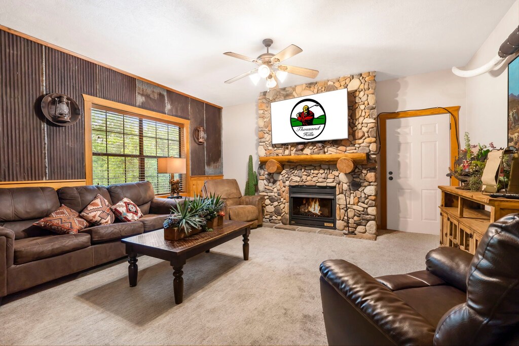 Living Room - Gas Fireplace, Cable TV, Sofa Bed