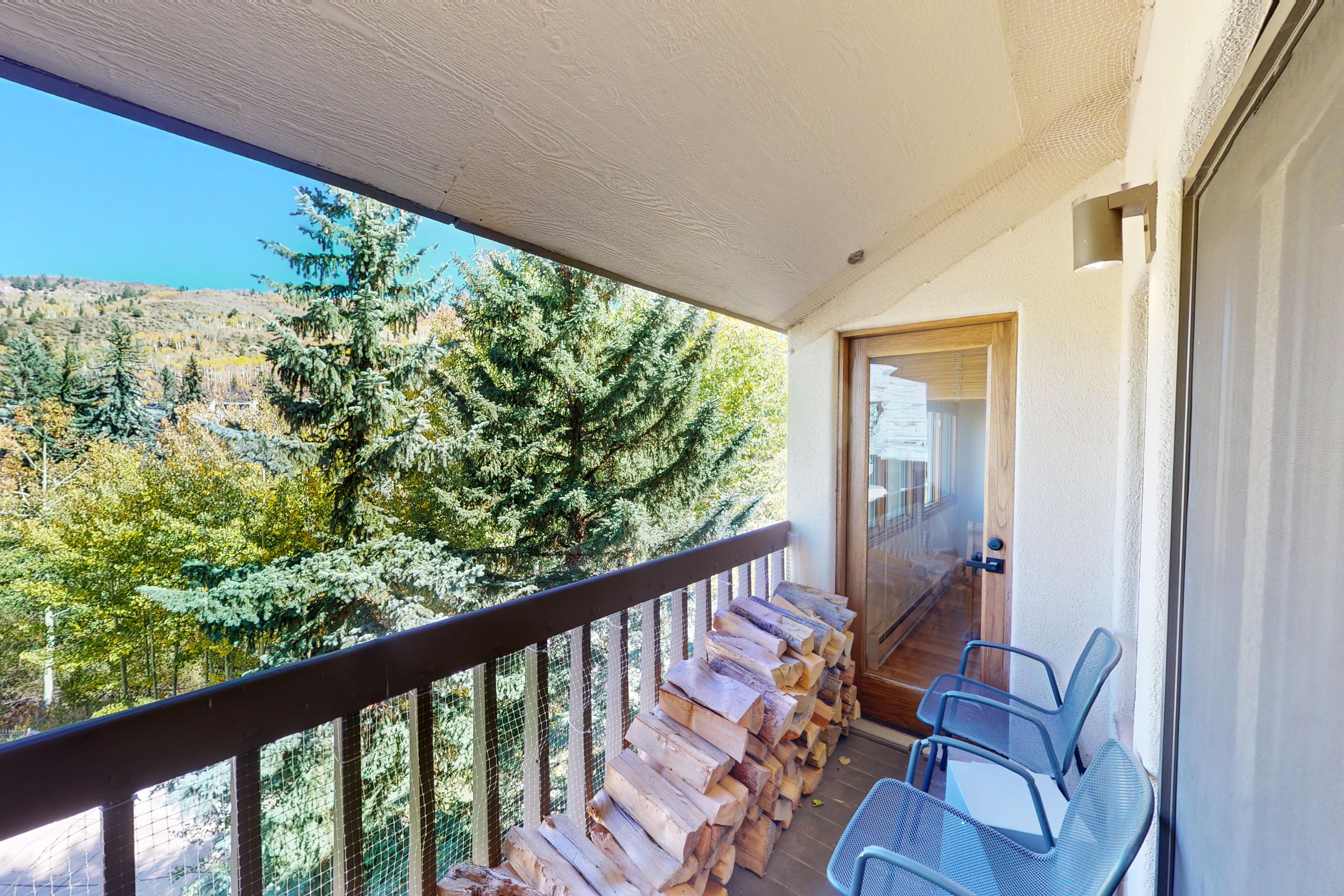 Property Image 2 - Beaver Creek Beauty