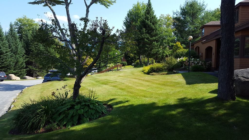 This family-friendly, lovely all-season townhome located slope side in the Forest Cottage development is a few minute walk from the world class ski trails and close to all that Bretton Woods has to offer.