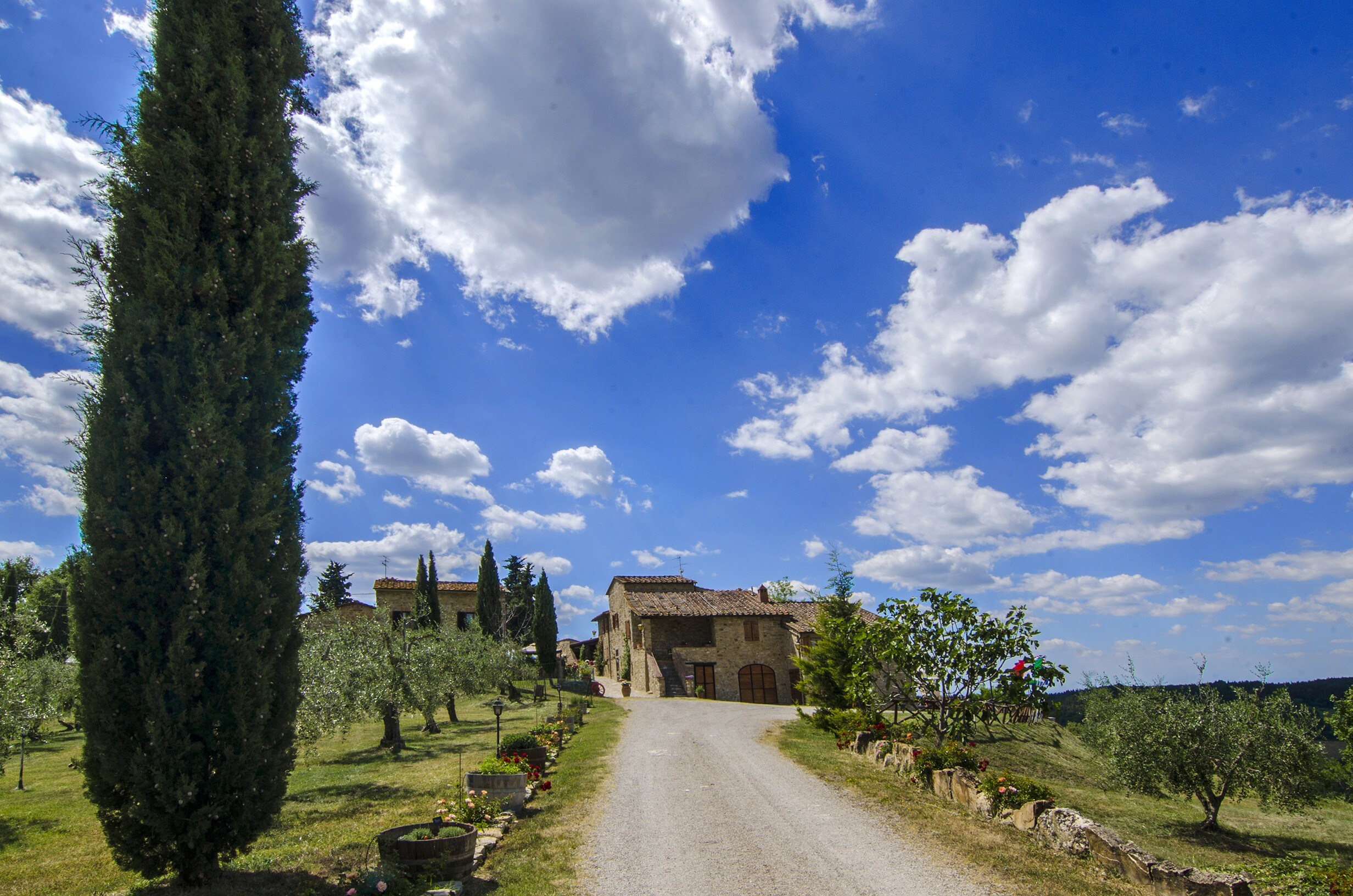 Property Image 1 - Typical and Cozy Small Villa in Chianti