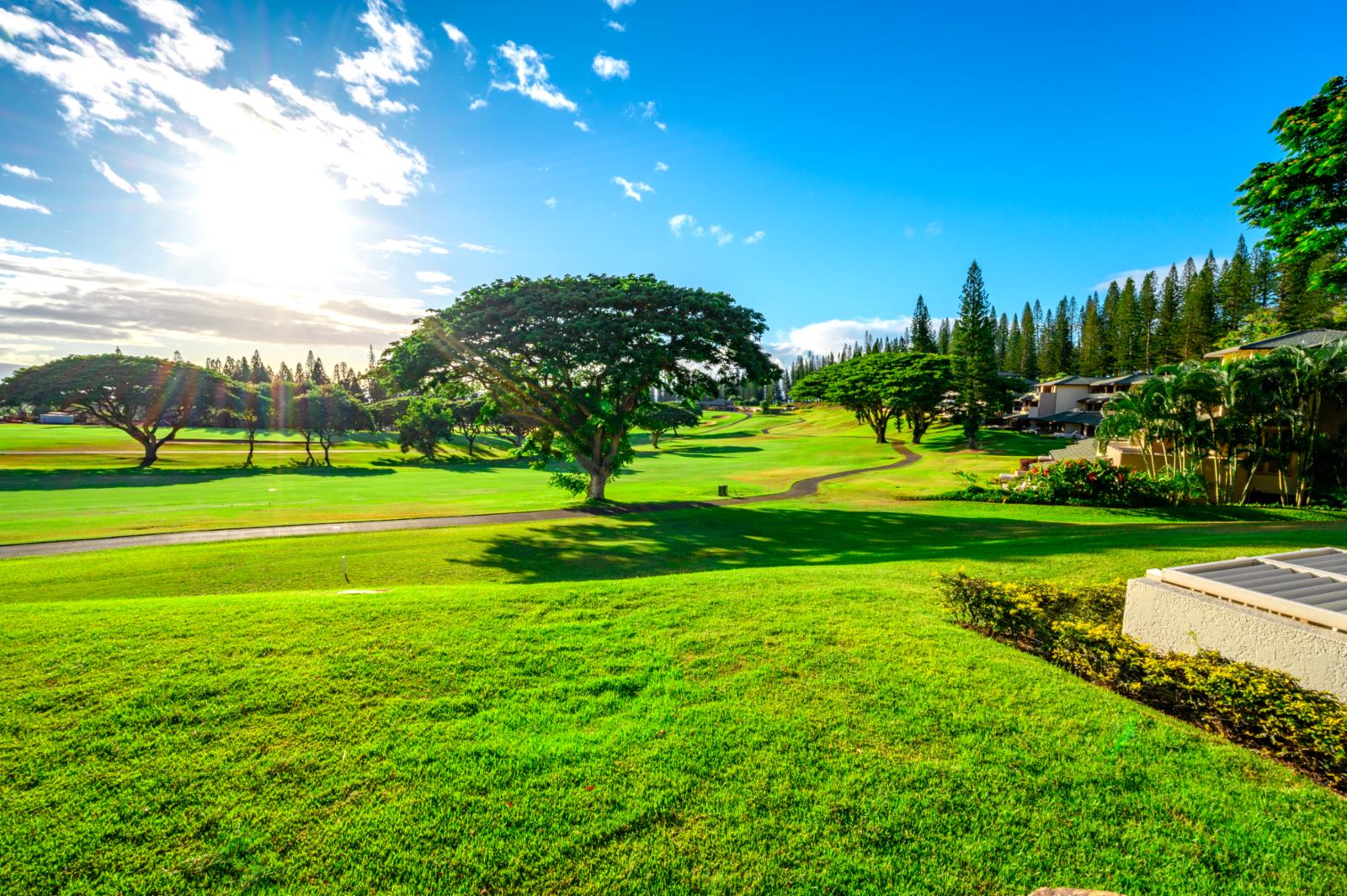 Outstanding View of the Grounds