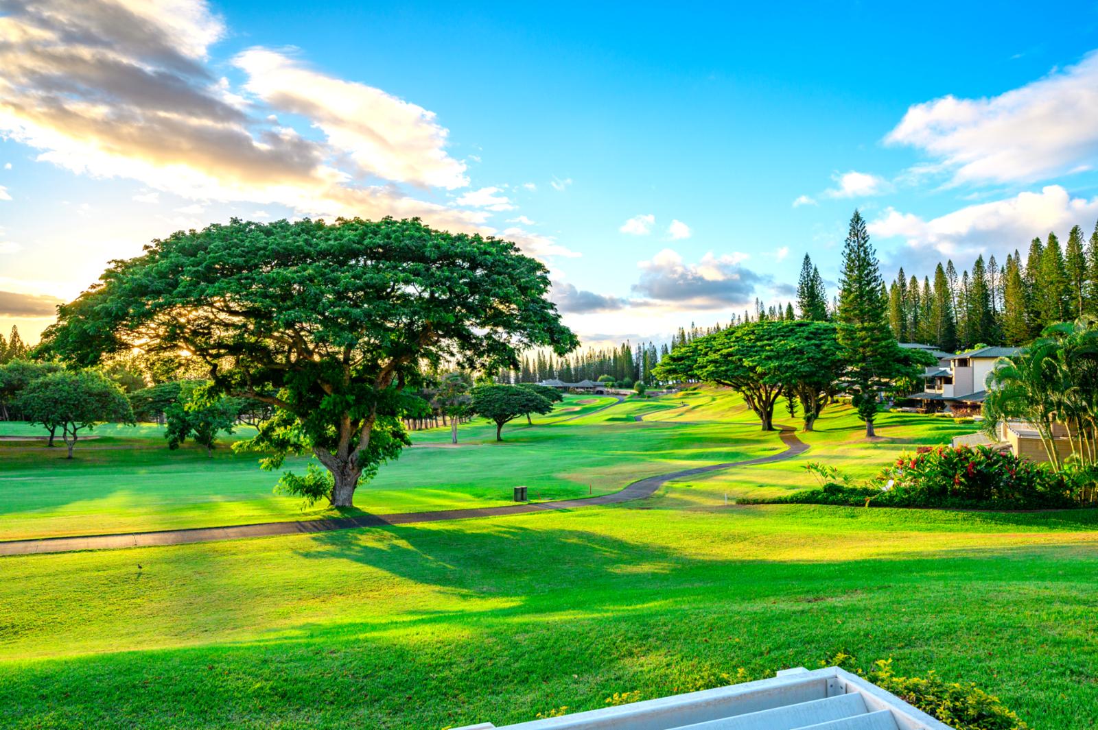 Outstanding View of the Grounds