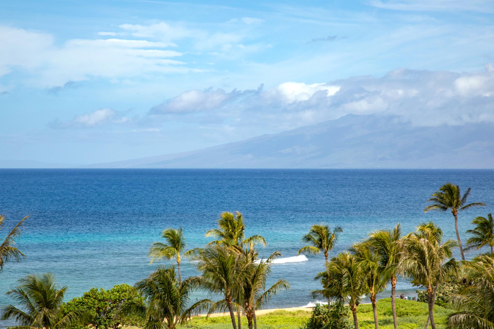 Exterior: View from room