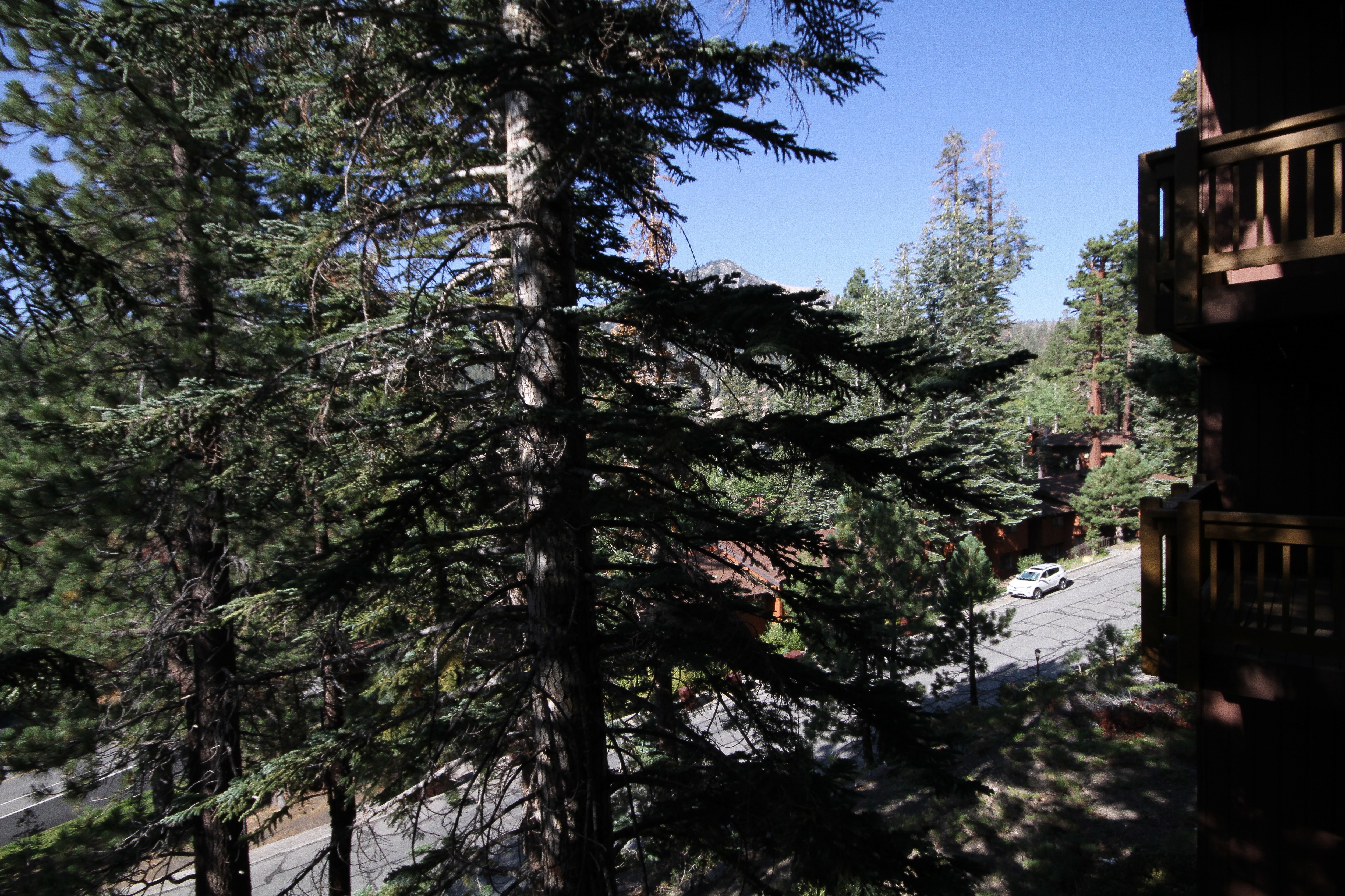 Mammoth Ski & Racquet Club #33 Mammoth Ski & Racquet Club #33