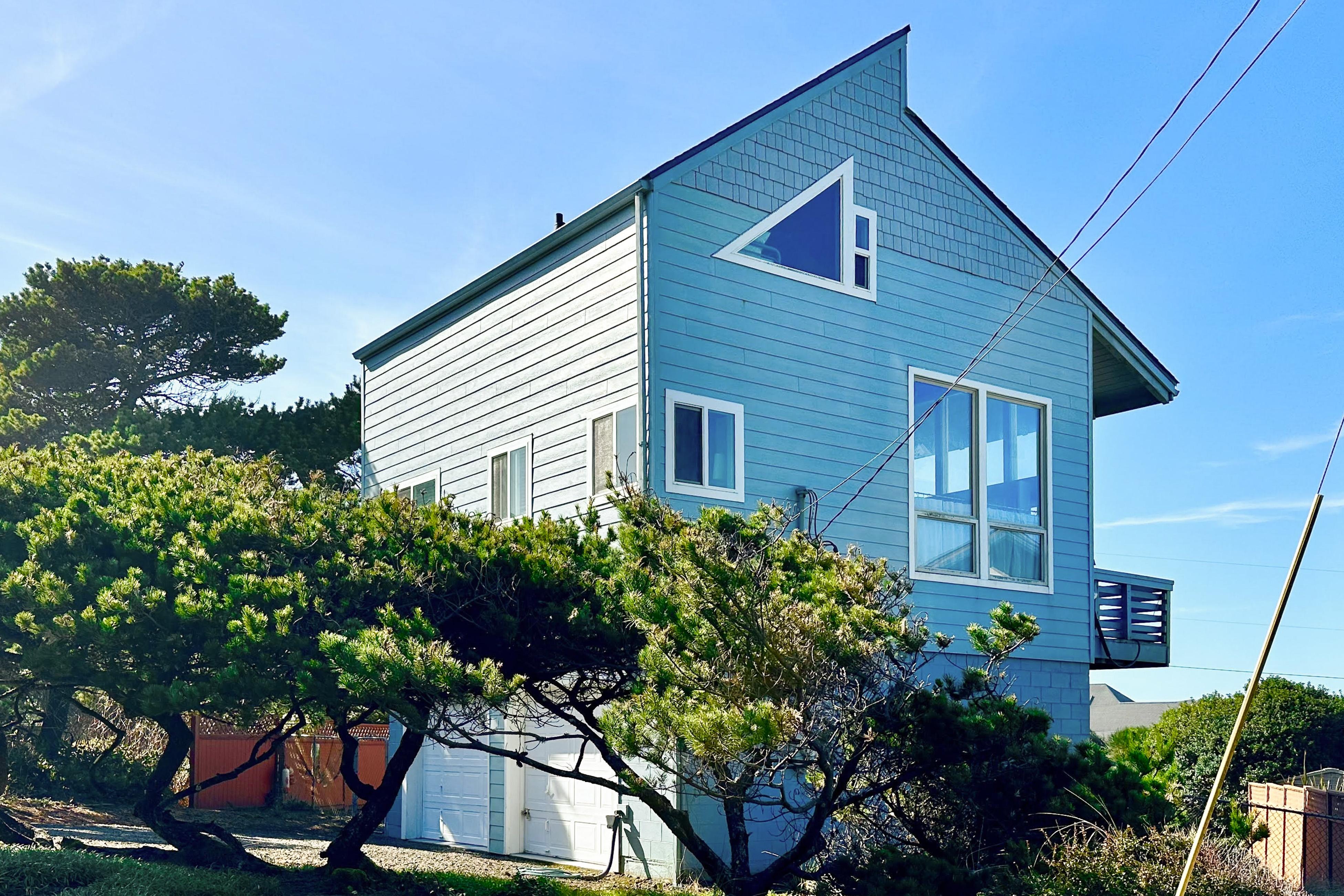 Lofty Pelican Lofty Pelican