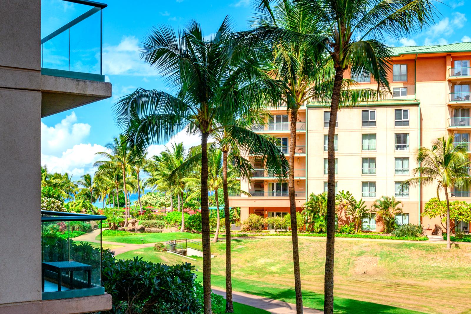 Tropical landscaping with walking paths to the beach