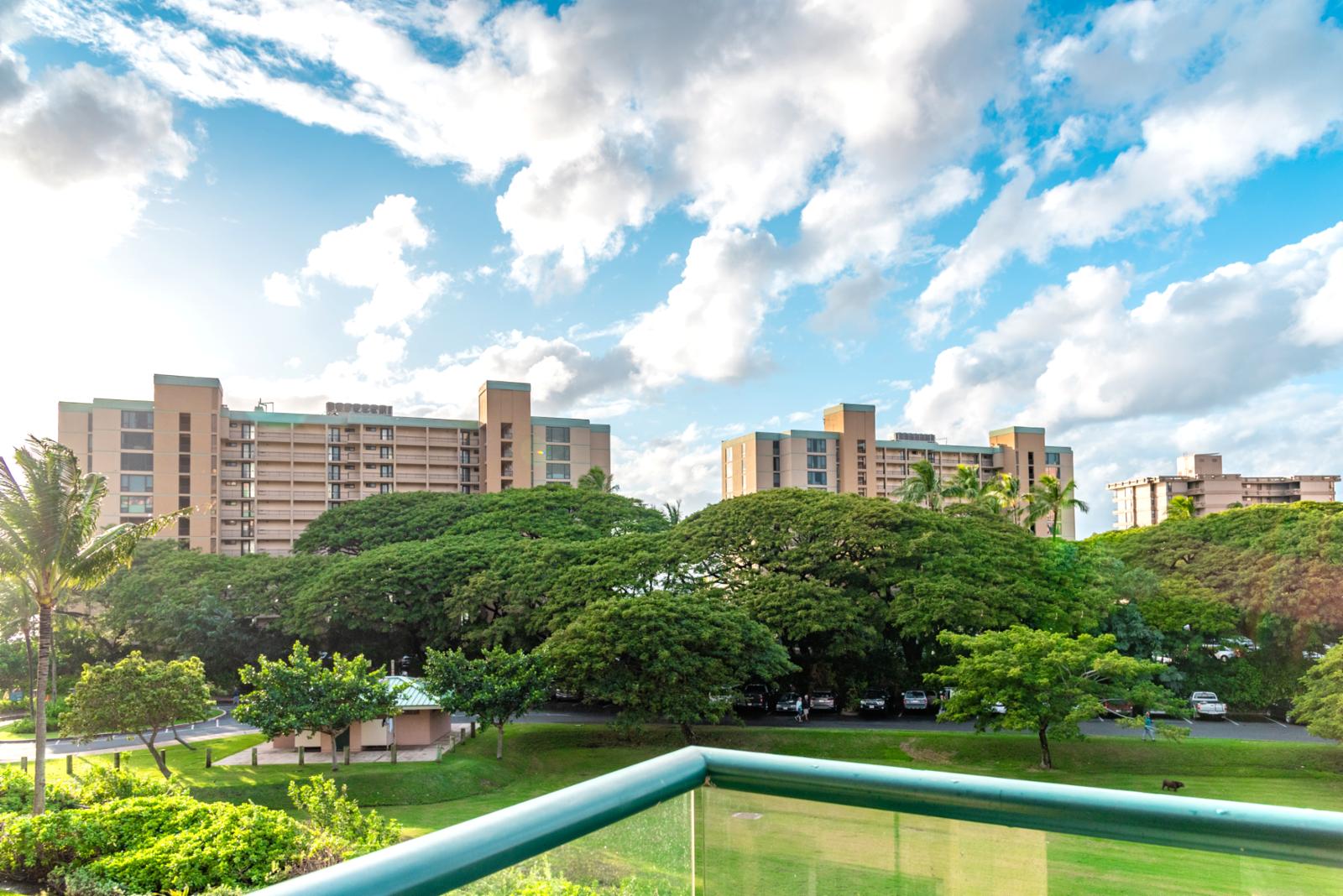 Sweeping park lawn views