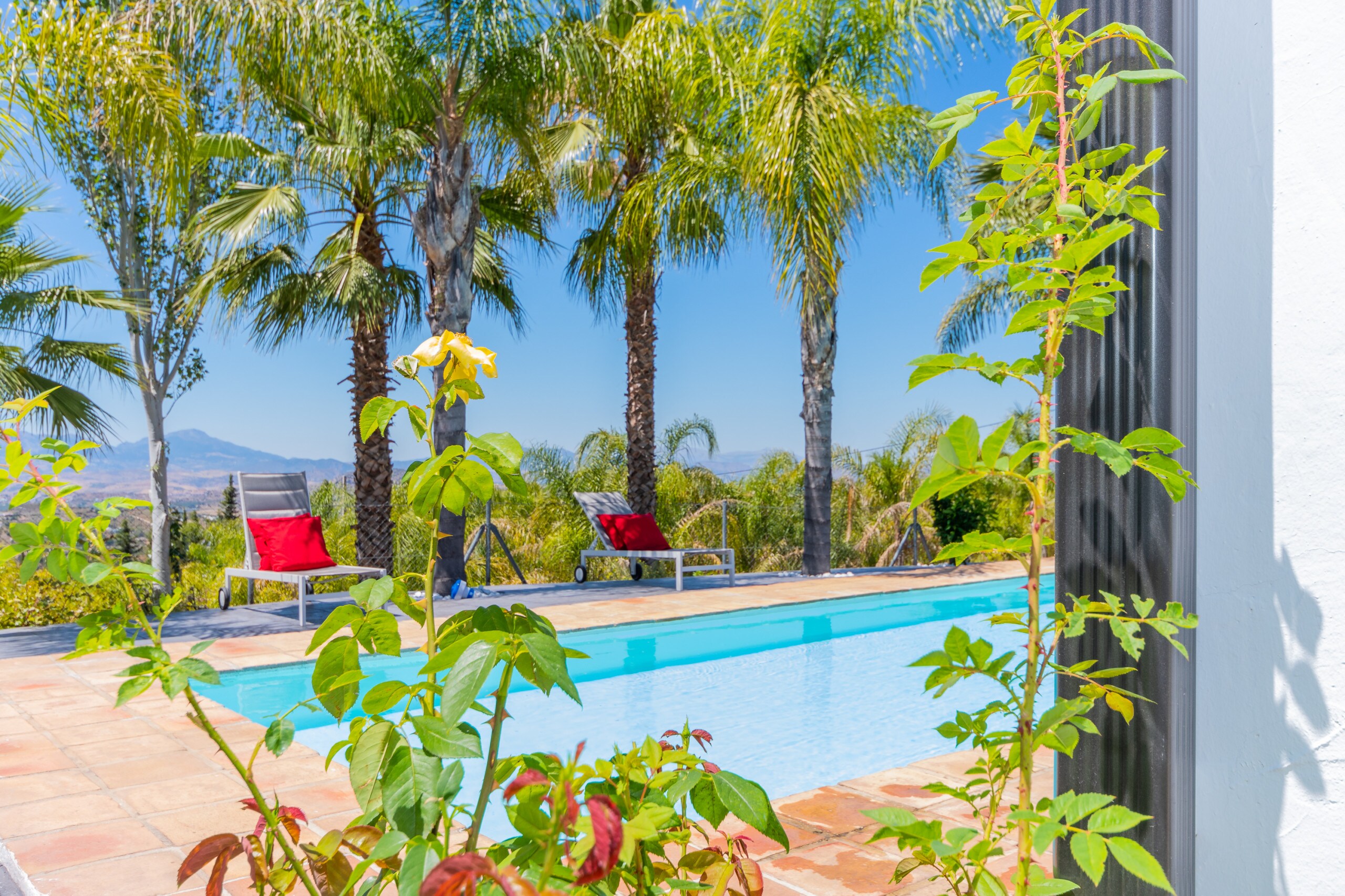 Enjoy the private pool of this Finca in Alhaurín el Grande