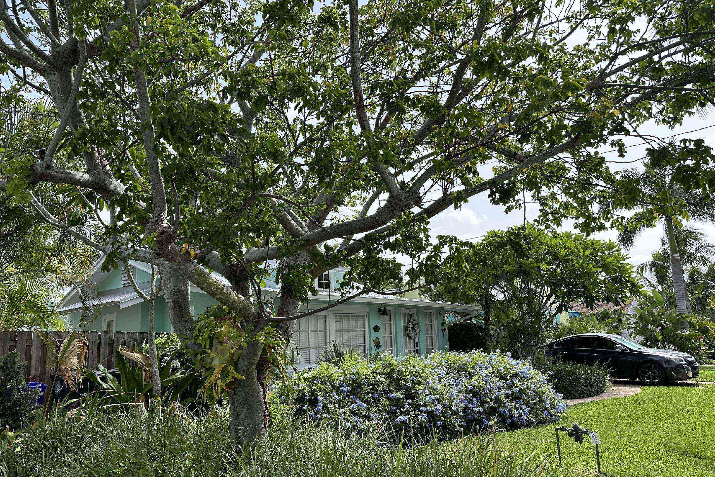 Property Image 1 - Bahama Breeze Bungalow, Pool and close to Shops & Restaurants, Downtown, Kravis Center