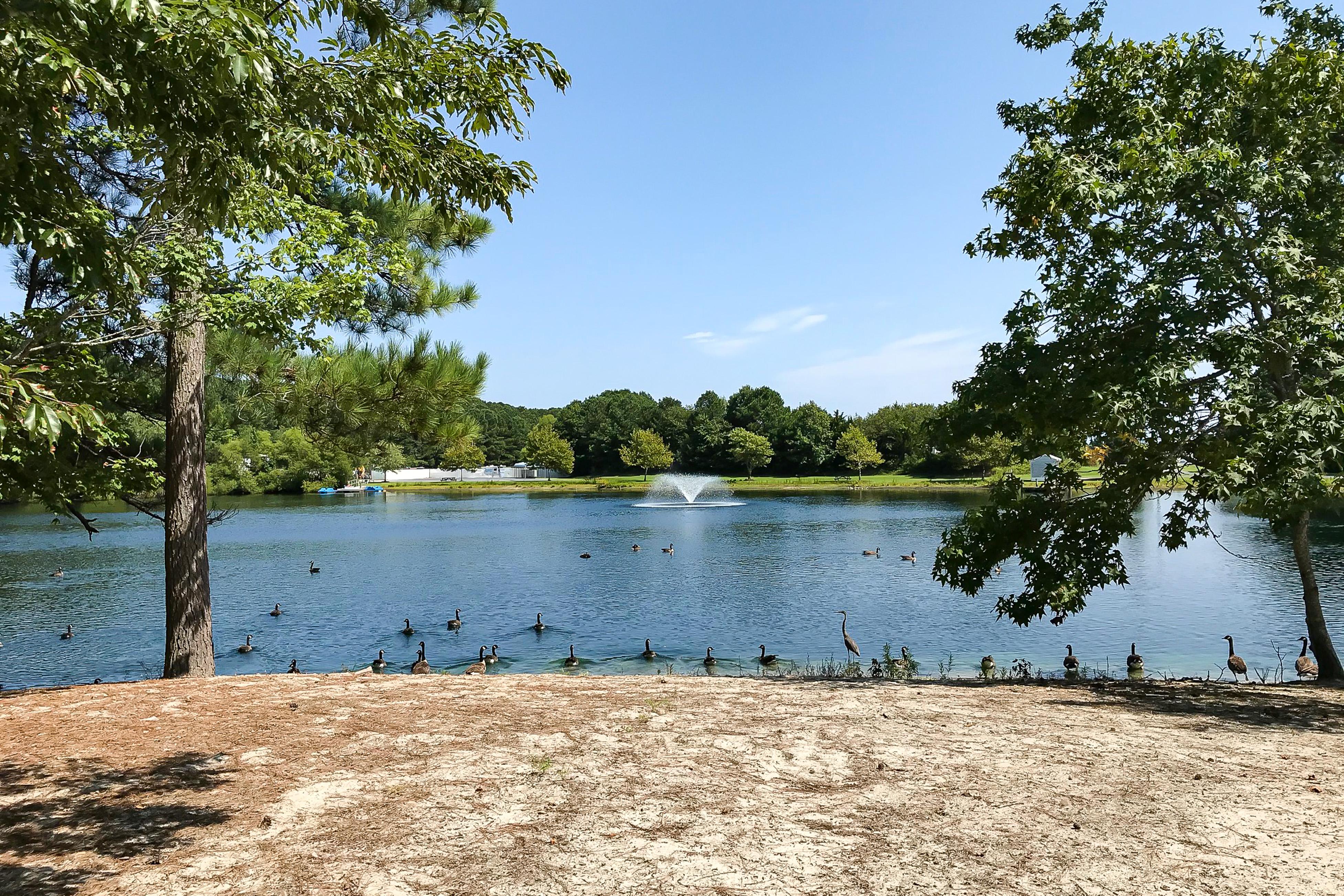 Property Image 1 - Assateague Pointe - Assateague Way