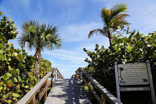 There is direct beach access from the condo!