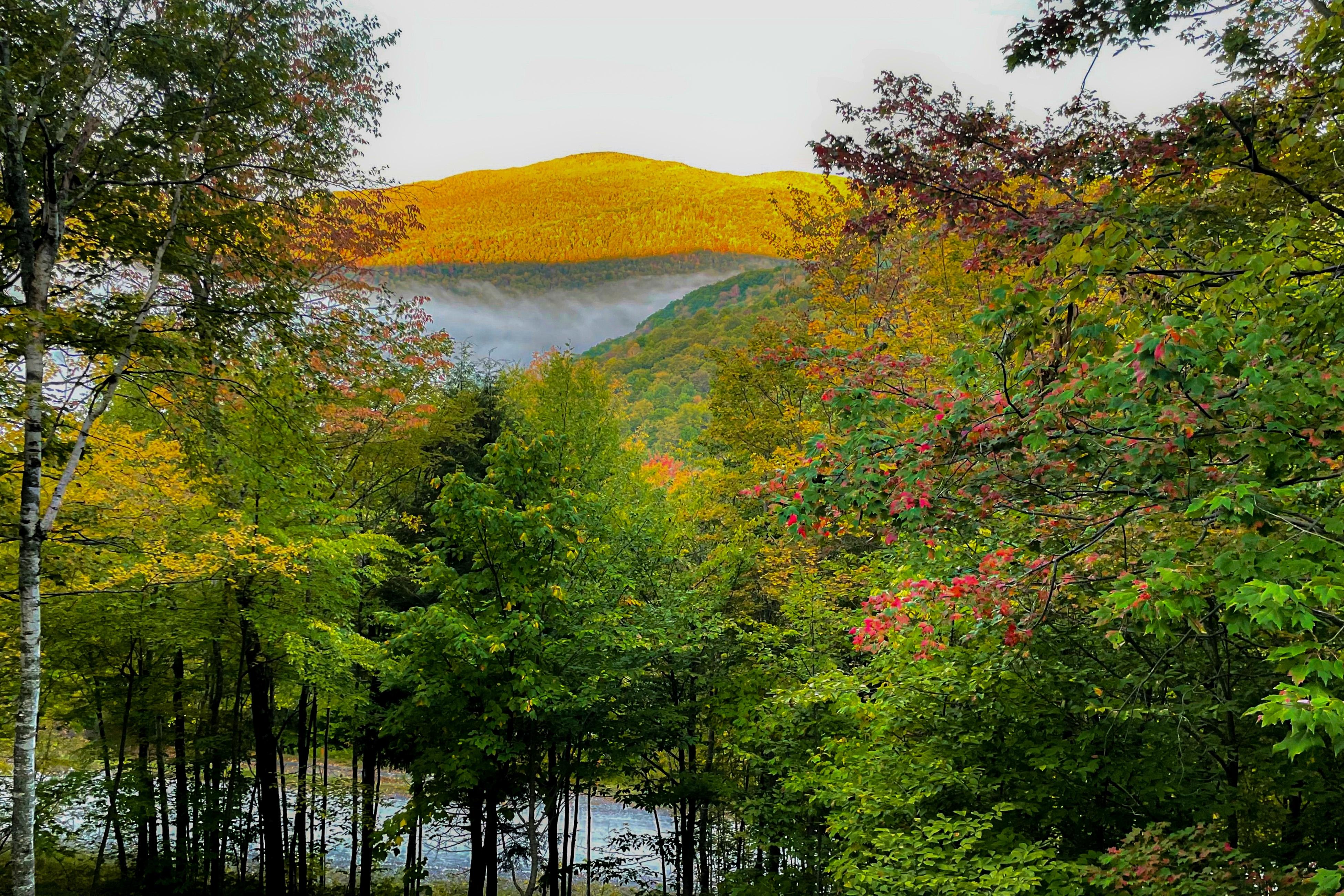 Property Image 1 - Rivendell Home at Hawk Mountain