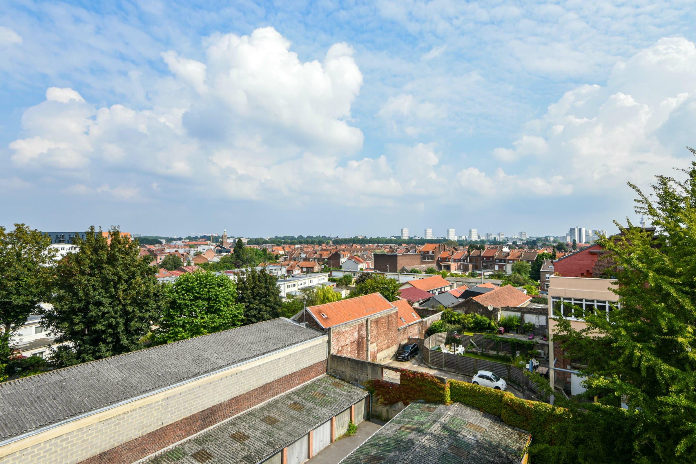 Bright flat near the city centre of Lille