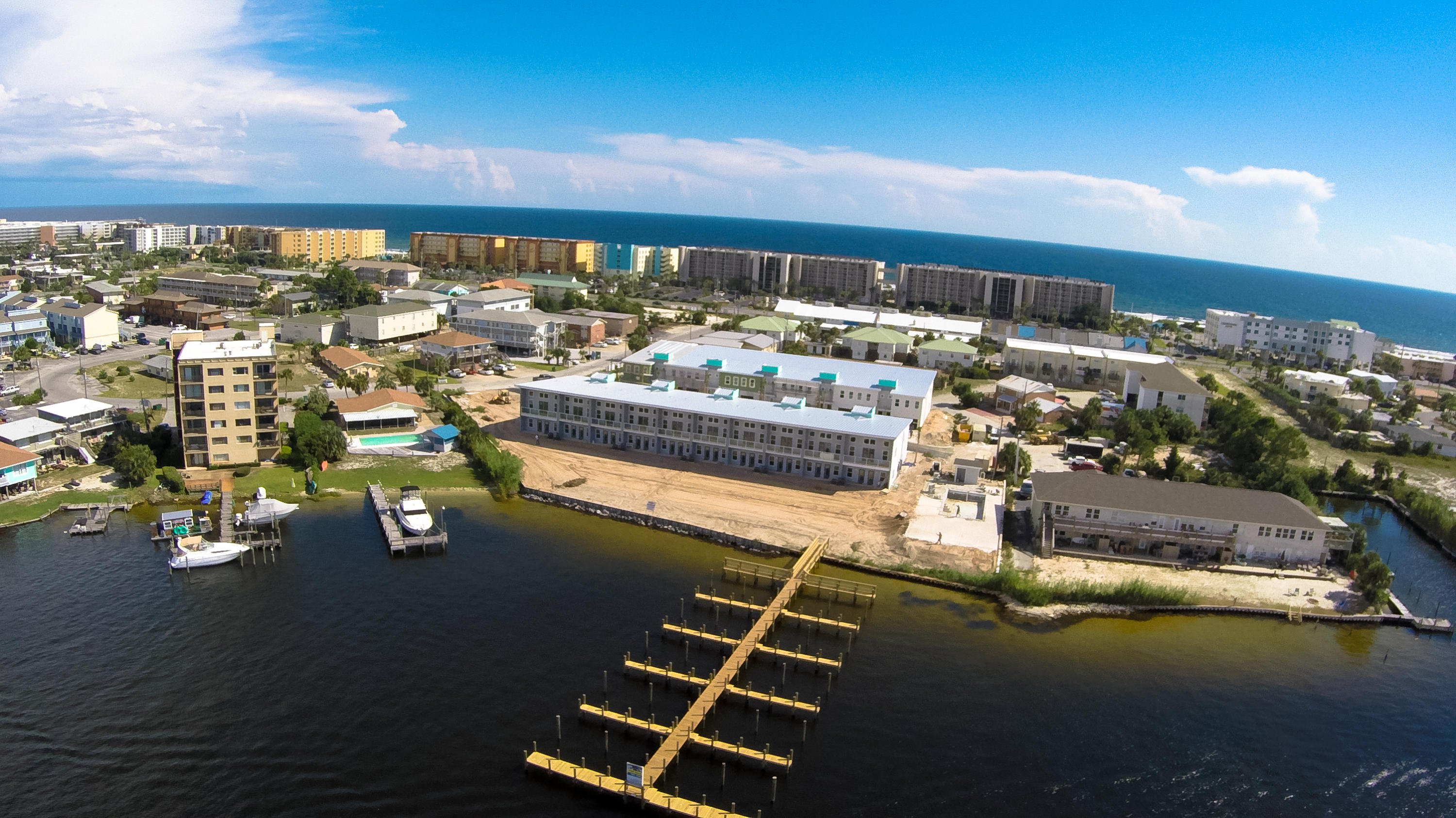 🦩Bluefish is The New Fish...Okaloosa Island🦩