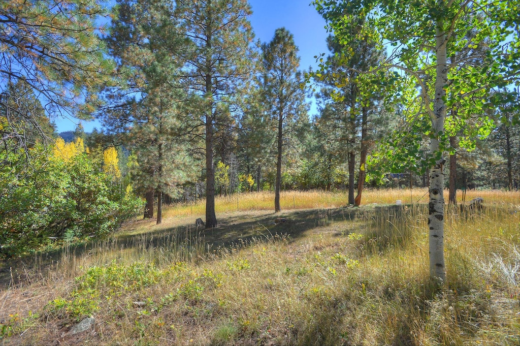 Space around the Cabin