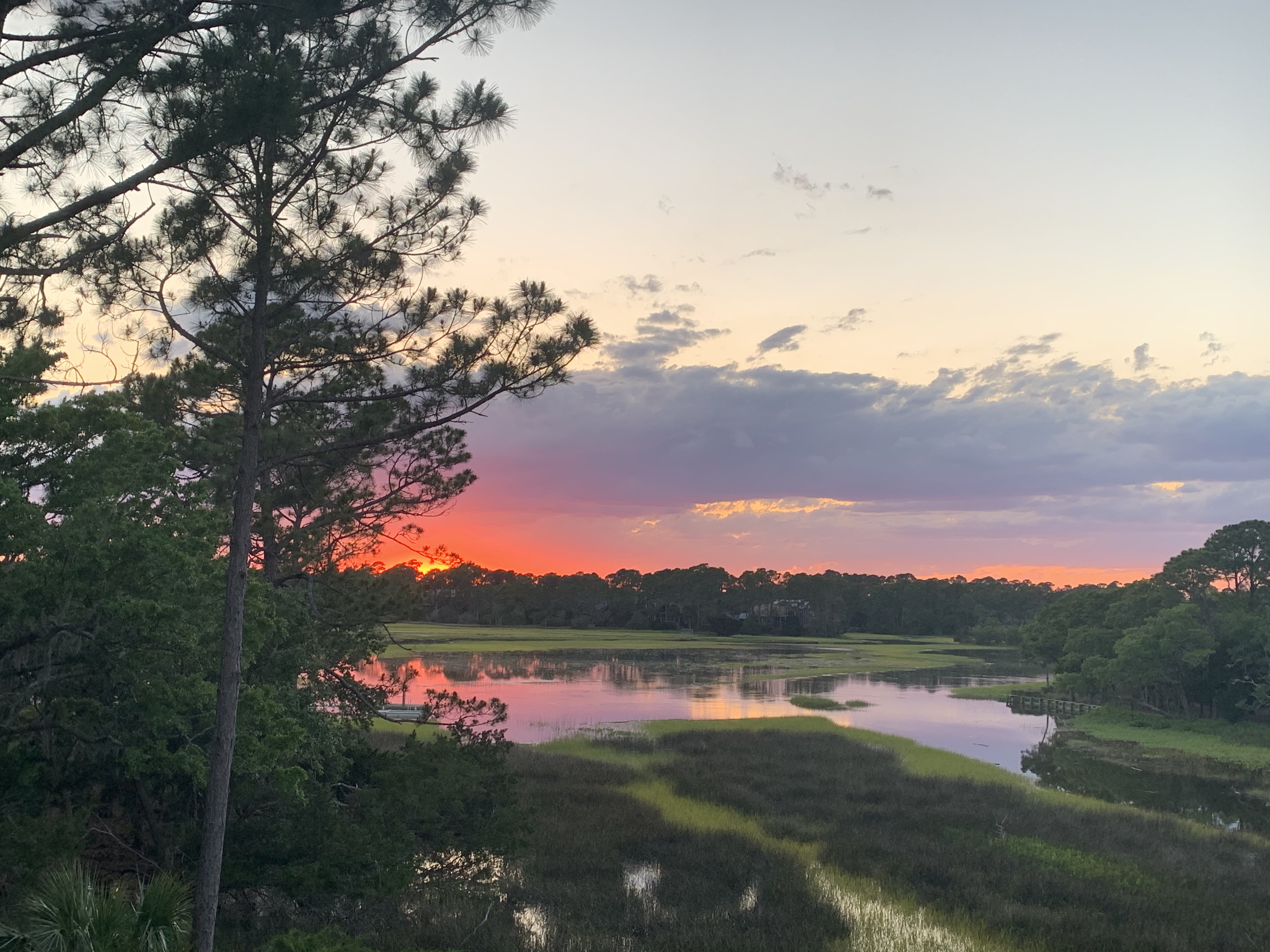 Marsh View