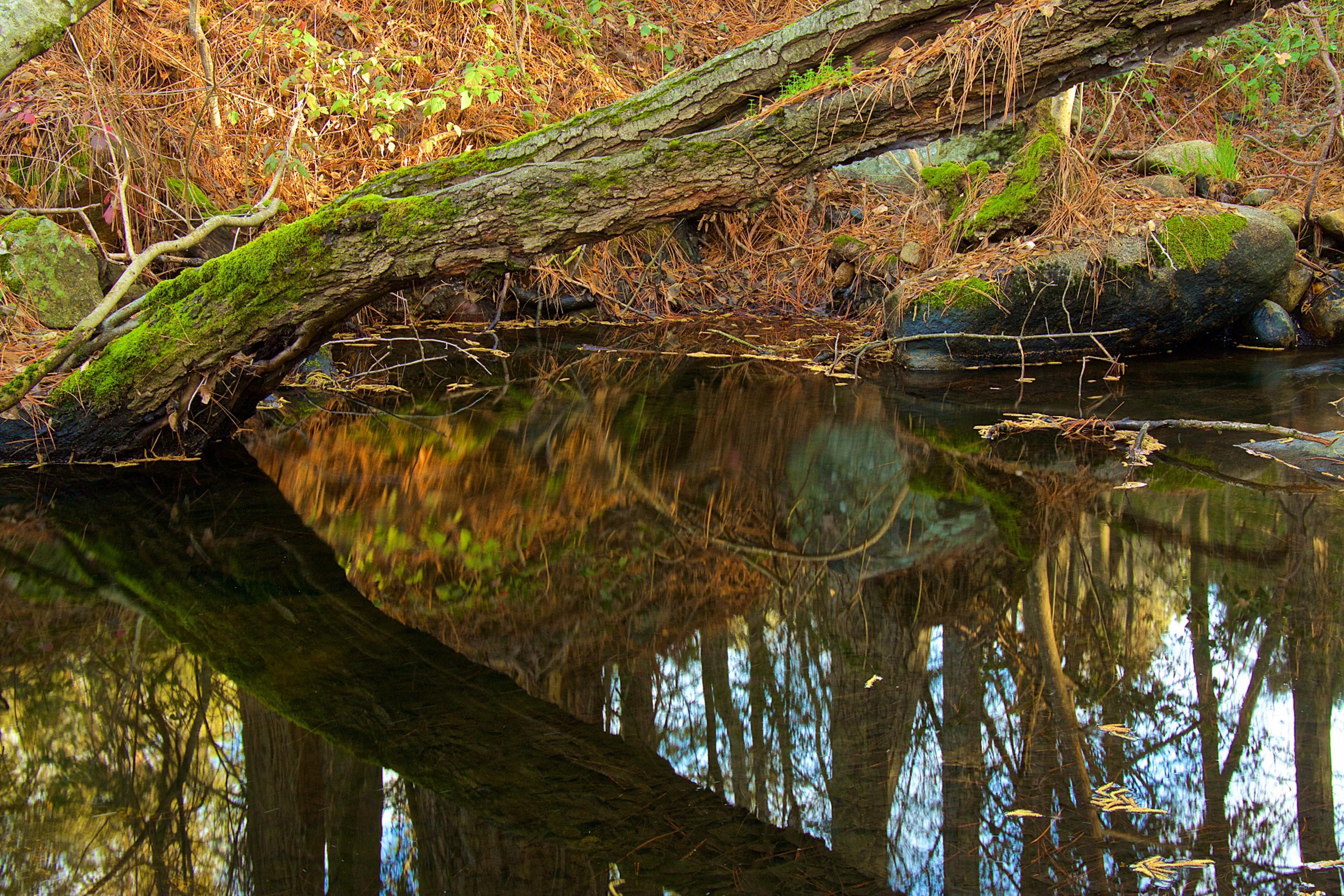Yosemite Nutter Ranch Yosemite Nutter Ranch