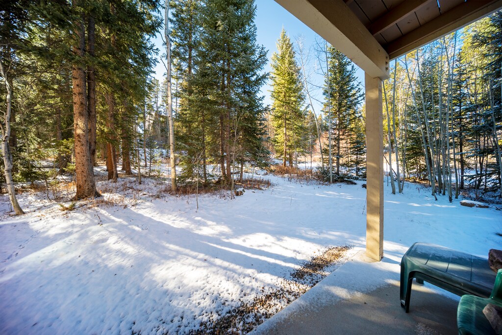 SWP Beaver Village 414 Private patio view