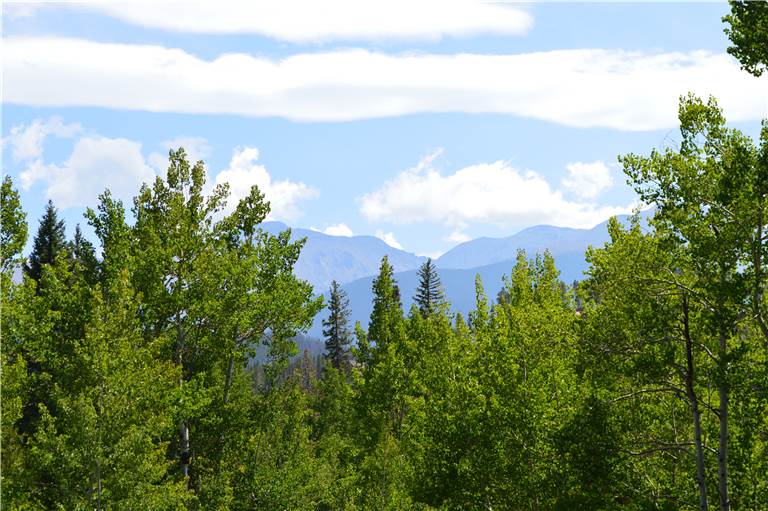 StayWinterPark Timberlake Townhome mt view from deck