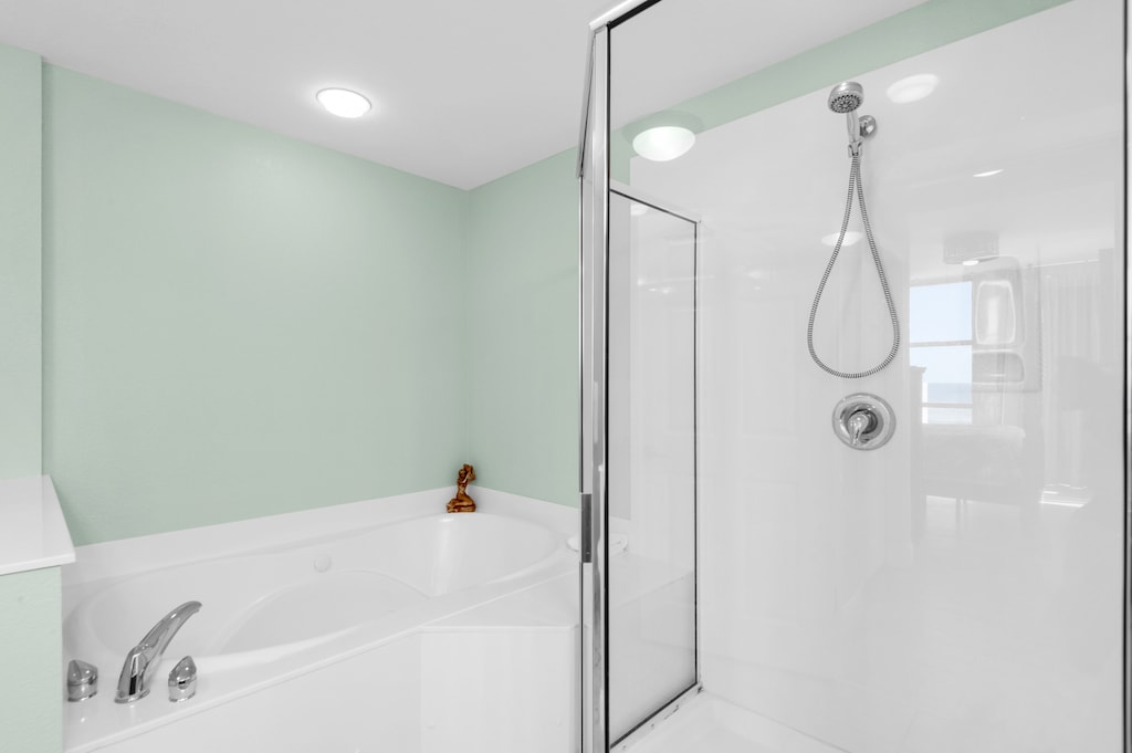 Master bathroom shower and tub