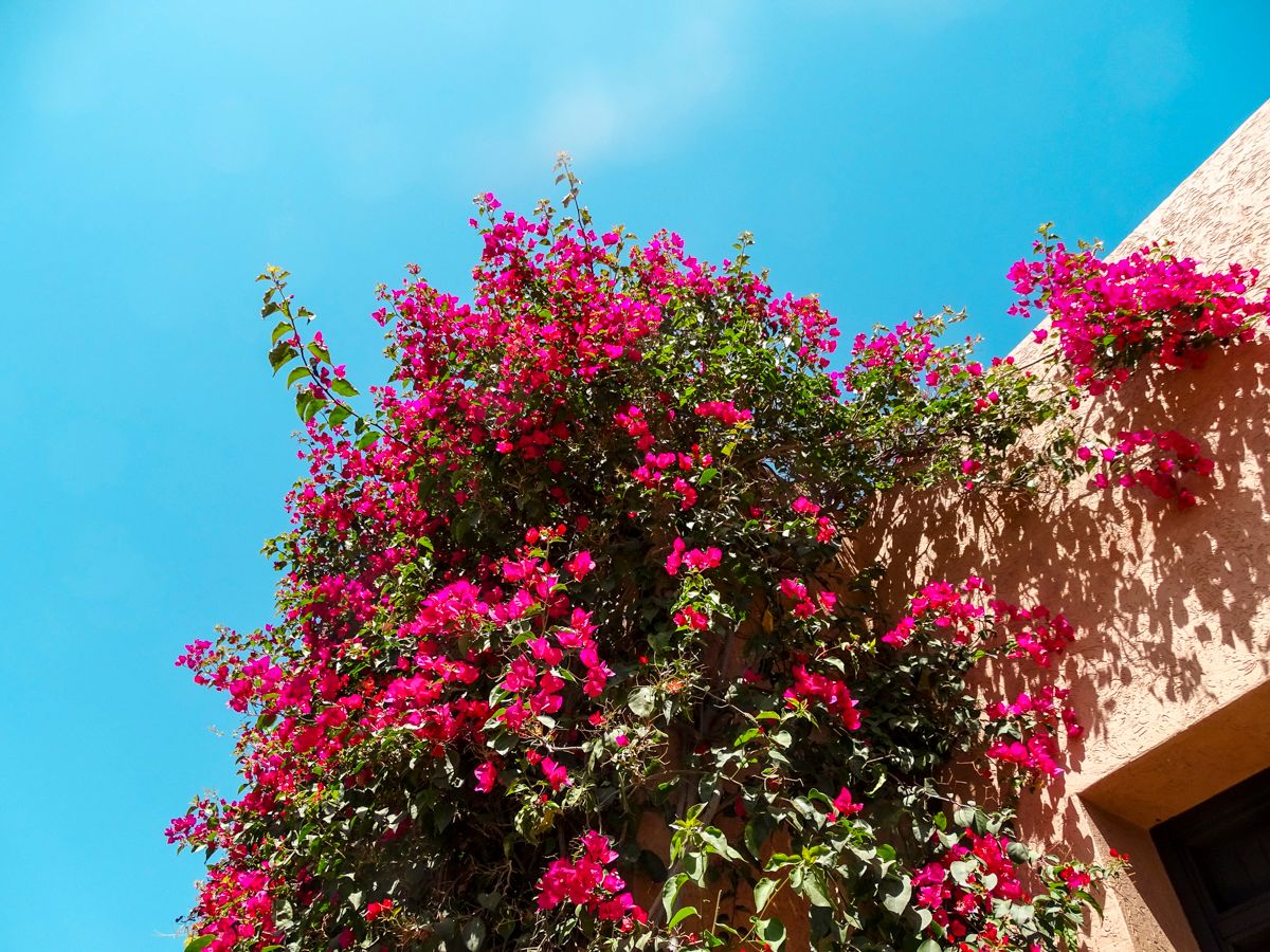 Villa Gourza Villa Gourza