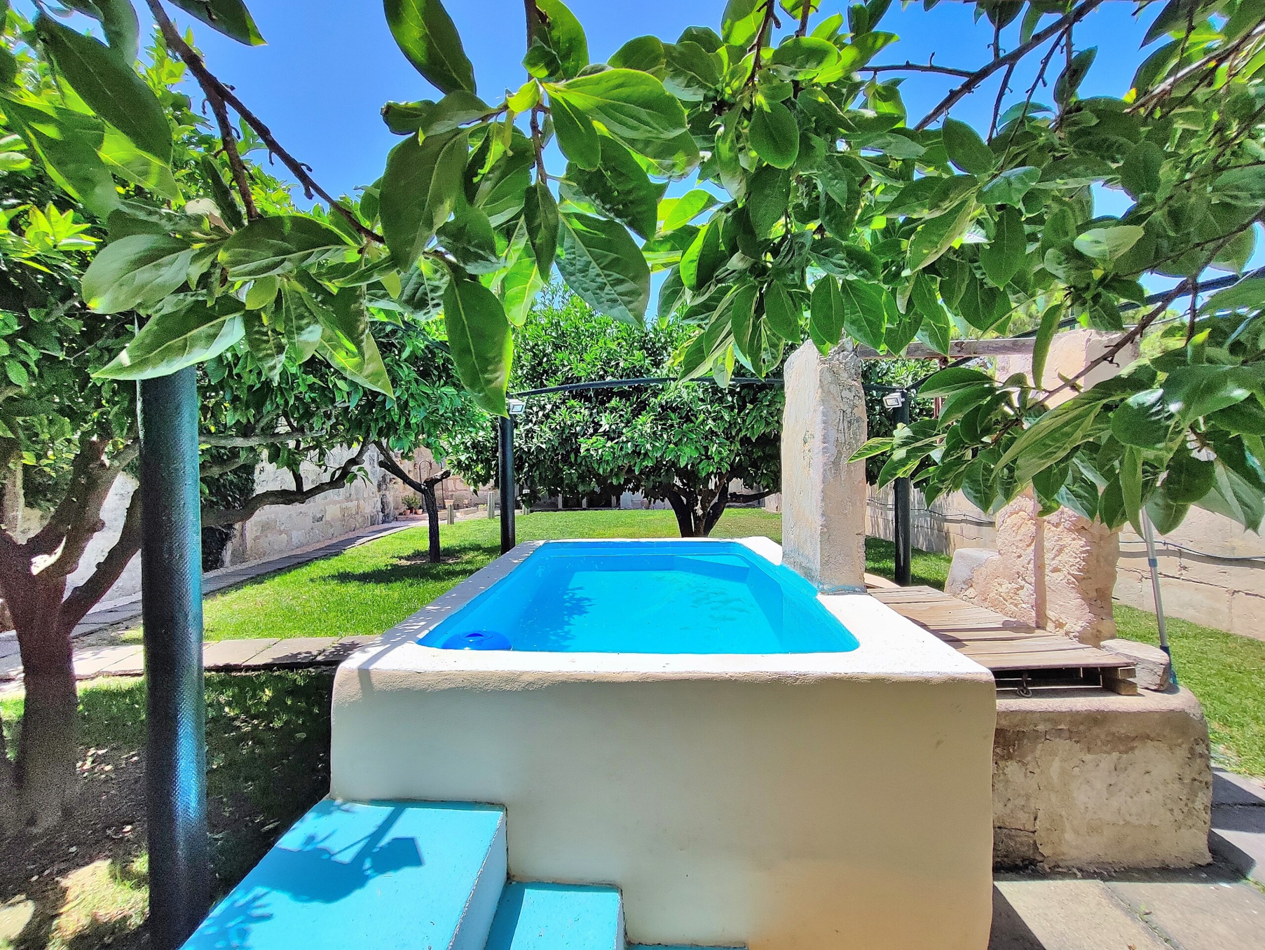 Traditional garden with traditional swimming pool (safareig)