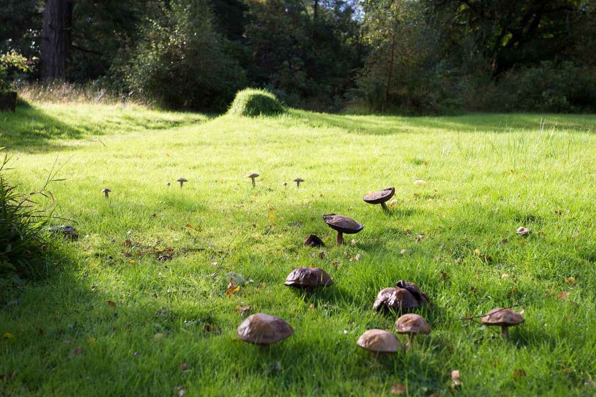 Argyll House Argyll House