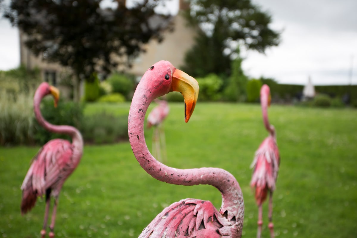 Property Image 2 - The Bell and Flamingo