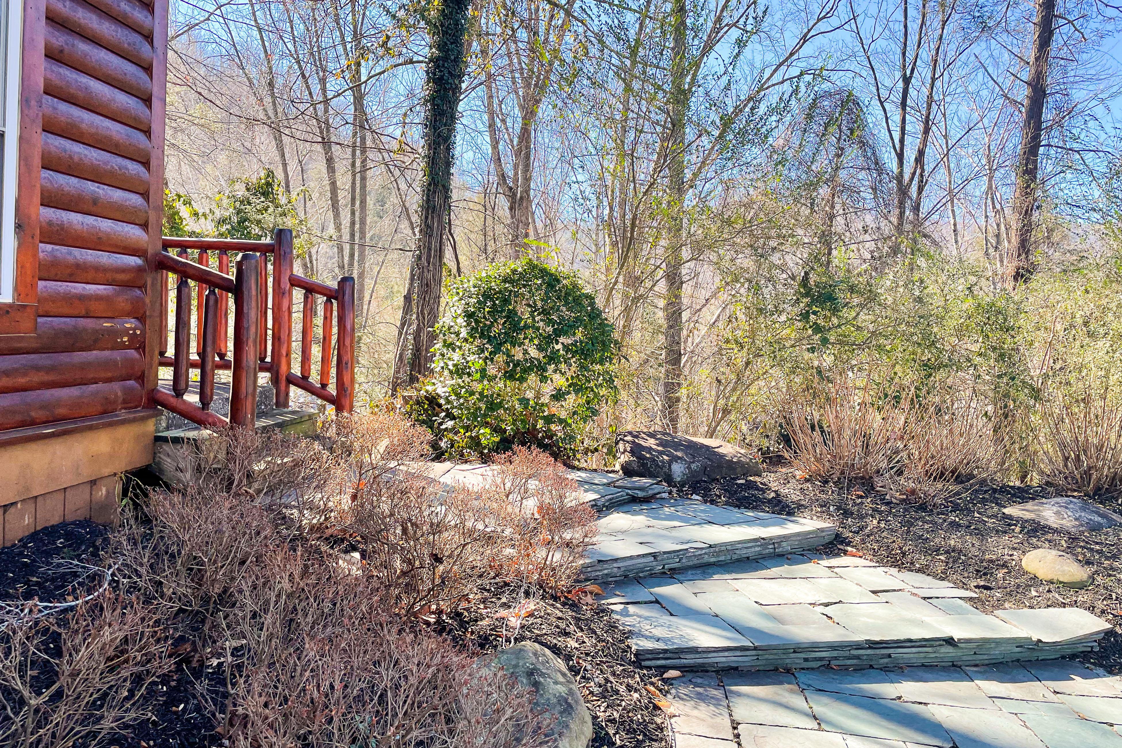 Property Image 2 - Black Bear Hideaway Cabin