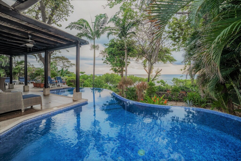 When jungle meets the ocean