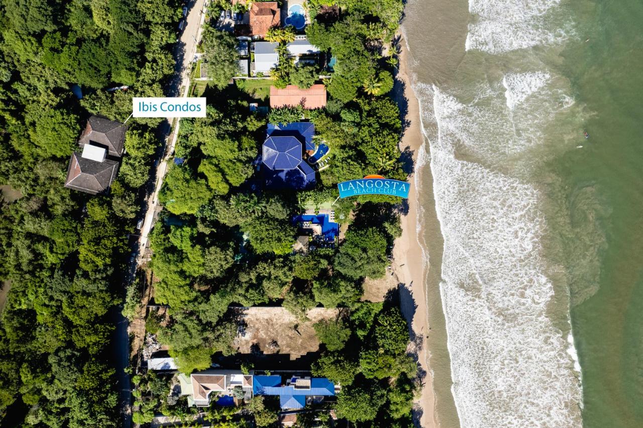 Property Image 2 - Luxury Condo with Beach Club Membership!