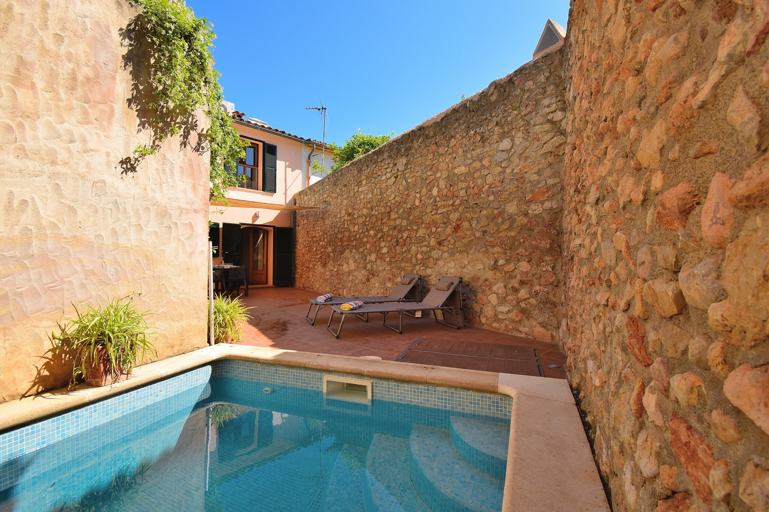 Garden with swimming pool in rented house